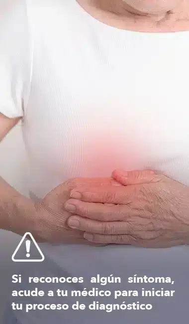 Hígado Graso