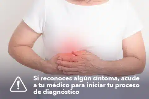 Hígado Graso